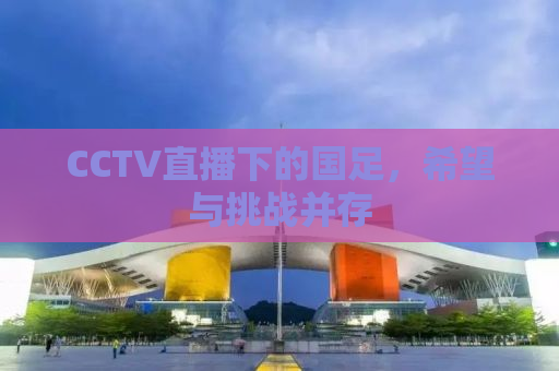 CCTV直播下的国足，希望与挑战并存