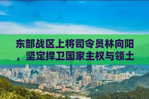 东部战区上将司令员林向阳，坚定捍卫国家主权与领土完整的声音