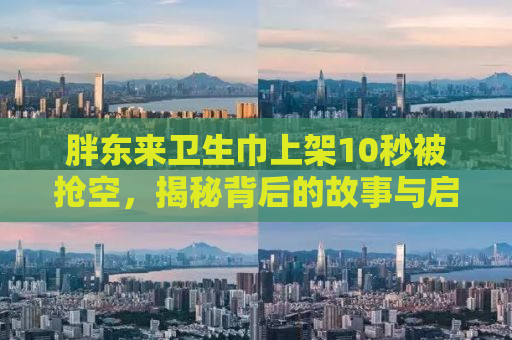 胖东来卫生巾上架10秒被抢空，揭秘背后的故事与启示